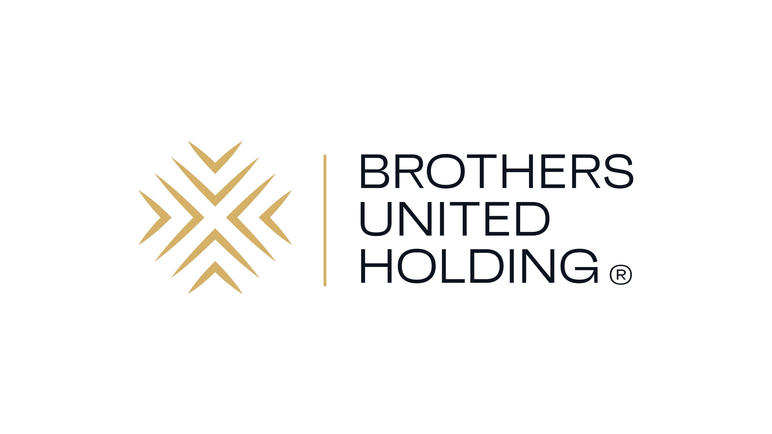 Brothers United Holding