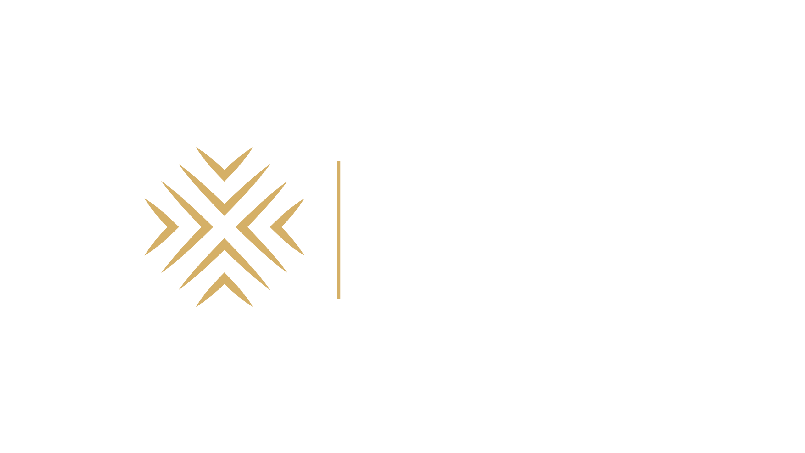 Brothers United Holding